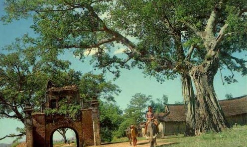 Cây đa quê hương (Bài đọc hiểu tiếng Việt lớp 3 - đề số 15)